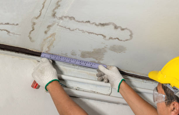 Reliable Water Damage contractor in Allendale, MI by Water Damage Irwin